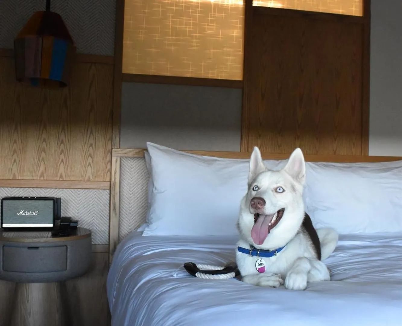 Hotel Aloft Tulum